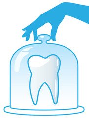 A healthy tooth is protected by a glass dome. Dentistry.