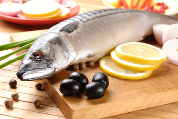 Mackerel
