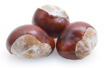 chestnuts