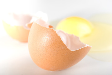 The broken egg