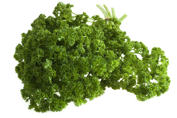 Parsley on white background