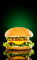 Tasty and appetizing hamburger on a darkly green