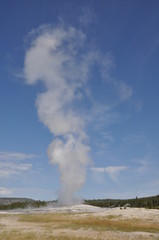 Old faithful geyser