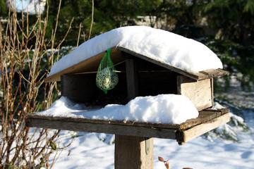 Birds shelter
