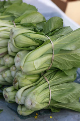 bok choy