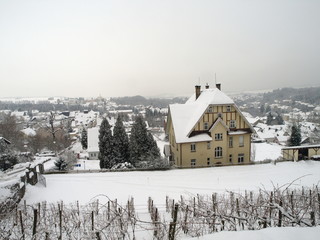 Winter 014