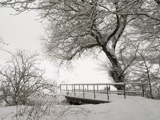 Winter 021