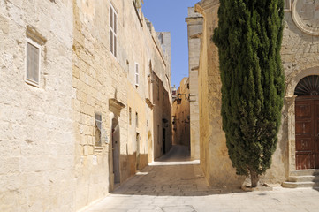 Fototapeta na wymiar Narrow Street in Mdina, Malta
