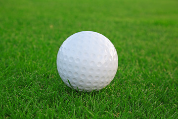 Golf ball on the green grass