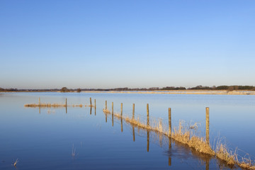 flooded fields