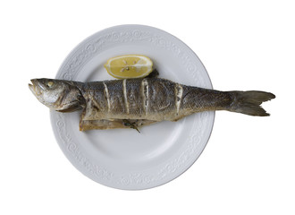 sea bass grill on plate isolated
