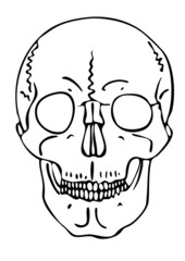 vector skull - warning sign
