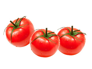 Tomatoes isolated on white background
