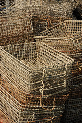 panier à huitres