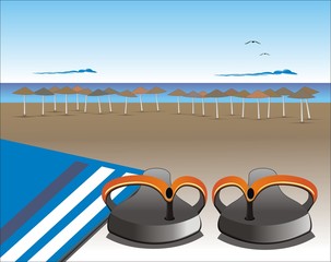Chanclas de playa