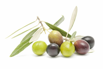 olive fruits