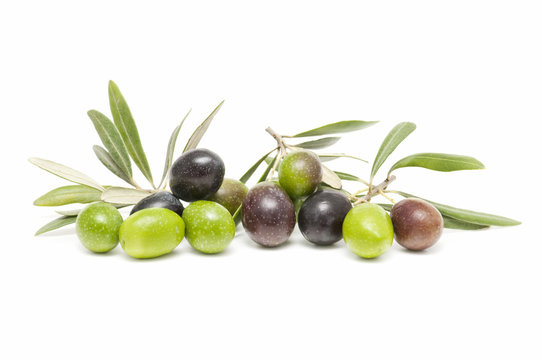 olive fruits
