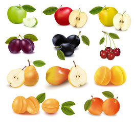 Group with different sorts of fruit. Vector.