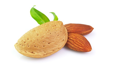 Dried almond with kernel