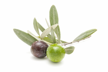 fresh olives on white background