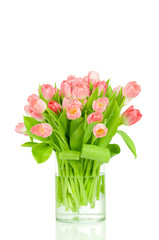 Tulips  on white background