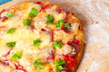 cheese and tomato pizza