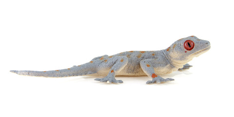 plastic salamander toy over white background