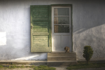 Summer morning
