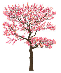 Naklejka premium 梅２