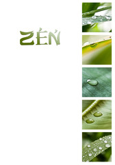composition zen
