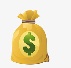 Money bag