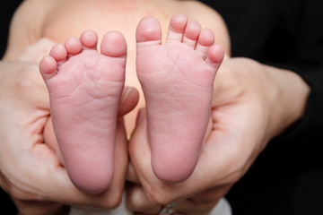 Obraz na płótnie Canvas Newborn baby feet