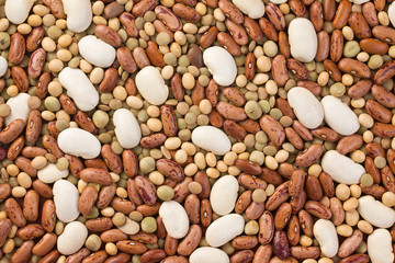 mixed legumes