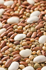 mixed legumes