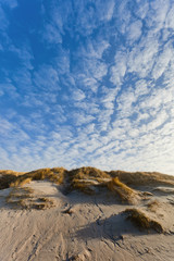 Dunes at the Danish North Sea coast