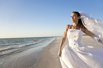 Fototapeta na wymiar Bride at Beach Wedding