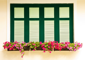 Fototapeta na wymiar colorful flower box on windows
