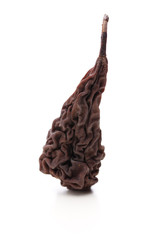 Eine stehende getrocknete Birne auf weiß