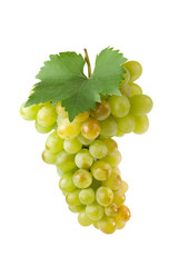 Bunch of white grapes with green leaves