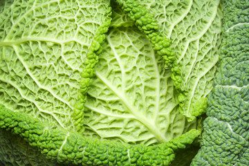 Detail of  a cabbage