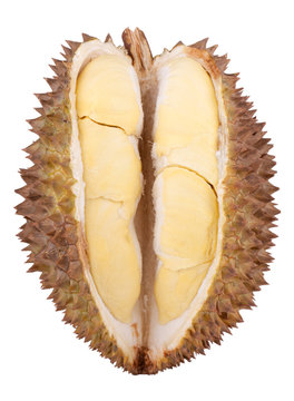 Tropische Frucht, Durian