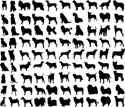 Vector illustration of various dogs silhouettes