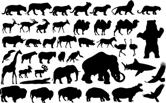 Vector illustration of various animals silhouettes
