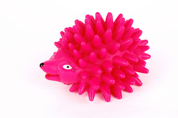 rose hedgehog toy