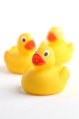 Rubber ducklings