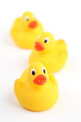 Rubber ducklings