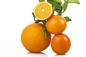 Arancio Naturale Fuori Taglia