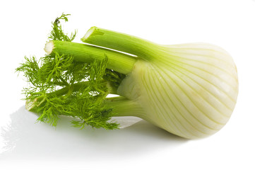 Finocchio close up
