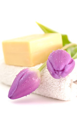 Natural Soap