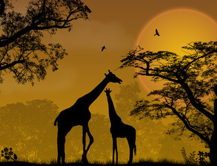 Fototapeta na wymiar Dwie żyrafy w dżungli